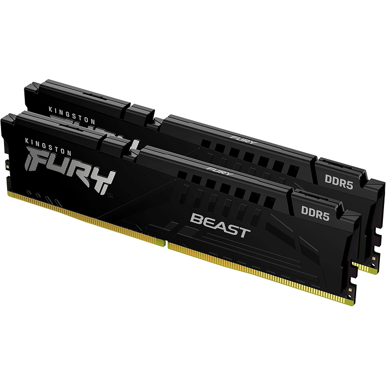 Memoria Ram 32GB DDR5 6000Mhz CL30 Dimm (Kit of 2) FURY Beast 1