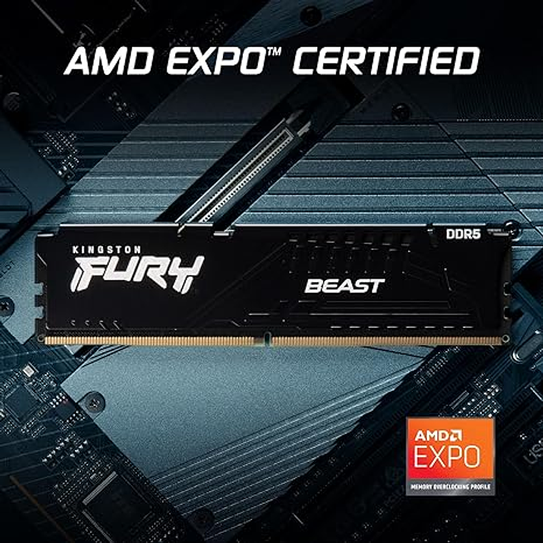 Memoria ram 16GB DDR5 6800Mhz CL34 Dimm FURY Beast Black EXPO 6