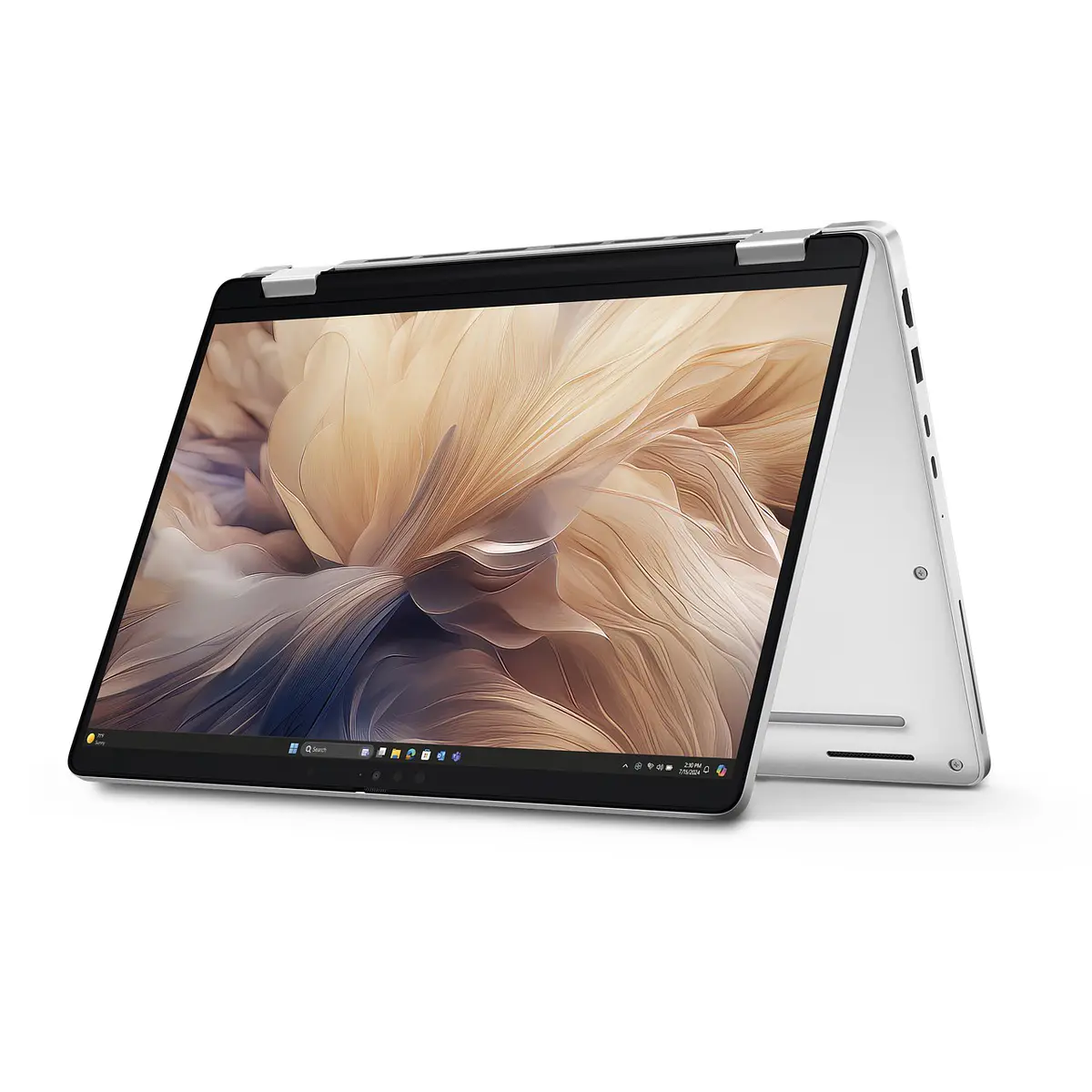 Notebooks Dell Pro