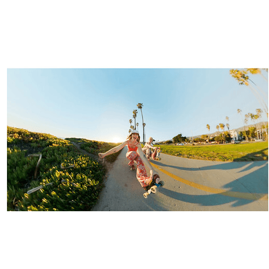 Poste de extensión GoPro 48