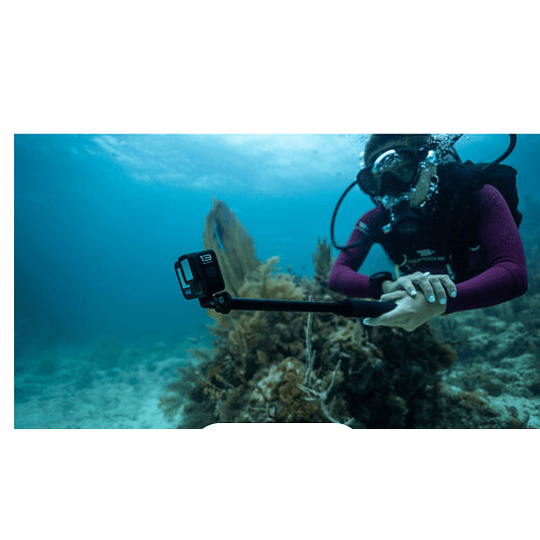 Poste de extensión GoPro 48