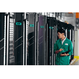 Kit Enable NS204i para Servidor ML350 Gen11, HPE P48403-B21