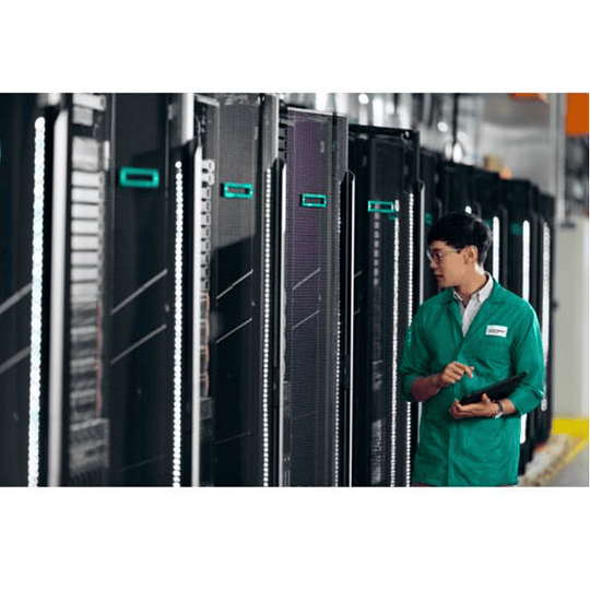 Kit Enable NS204i para Servidor ML350 Gen11, HPE P48403-B21