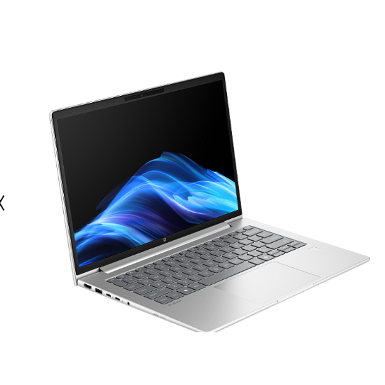 Notebook HP ProBook 4G1a de 14“ (Ryzen 5 230, 16GB Ram, 512GB SSD, FeeDOS) 2