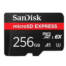 SanDisk 256 GB - Flash memory card - microSD 