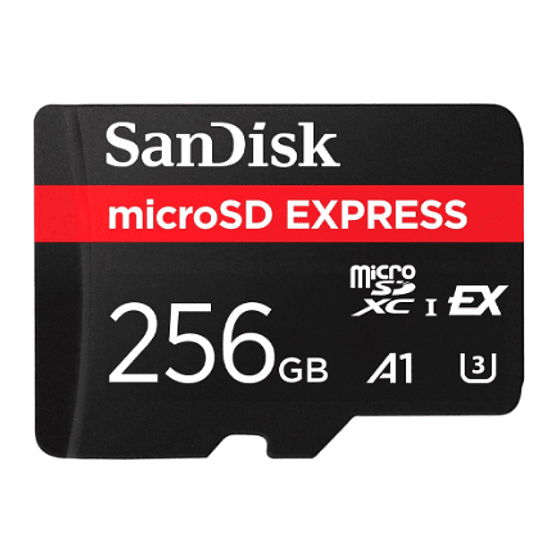 SanDisk 256 GB - Flash memory card - microSD 