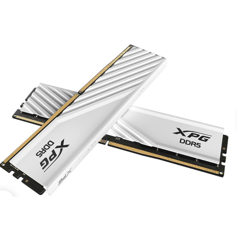 Memoria Ram Adata DDR5, U-Dimm, 8GB, 5600MHz, Blanco 2