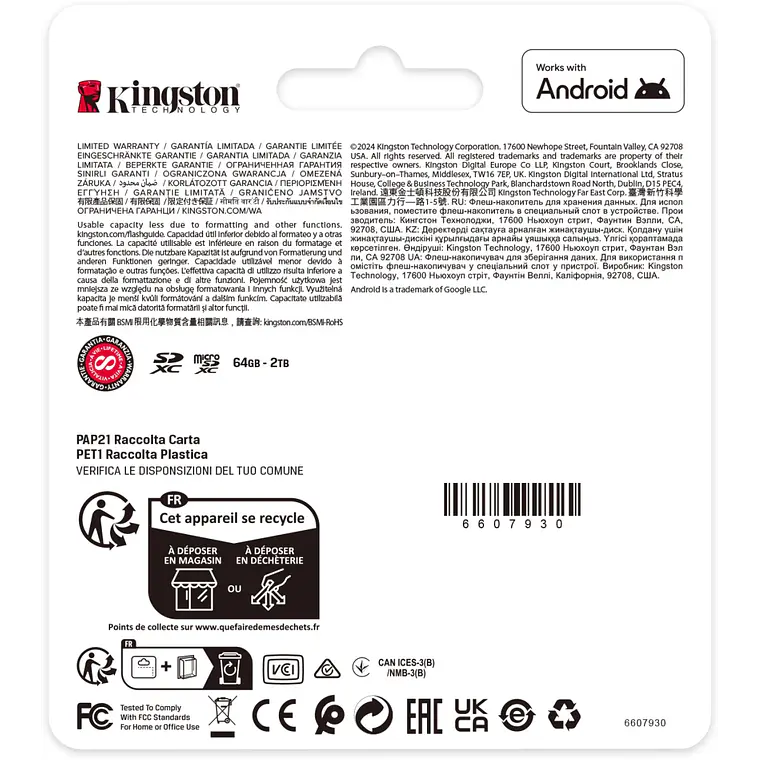 Tarjeta de Memoria SD 256GB XC Canvas Select Plus Gen3  4