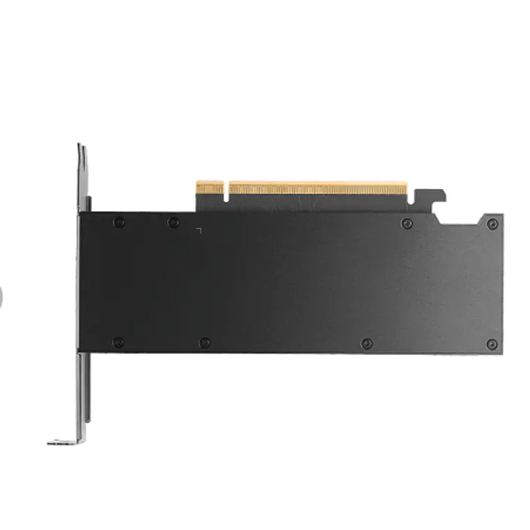 Tarjeta de Video PNY Nvidia RTX2000 Blackwell 16GB 3