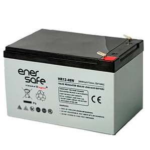 Batería Enersafe 12V/12Ah