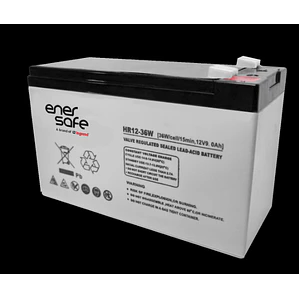 Batería Enersafe 12V/7Ah
