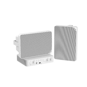 Kit de Audio Híbrido IP Hikvision (Amplificador de Red 80W + 2 Altavoces de Caja 20W)