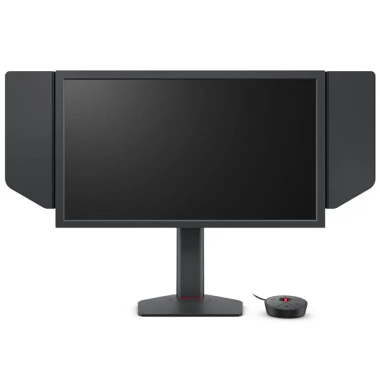 Monitor 24.1