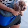 Sling para Mascota -Pet Sling Azul S DPETC023-BL
