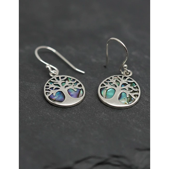 Aros colgantes de Plata 1
