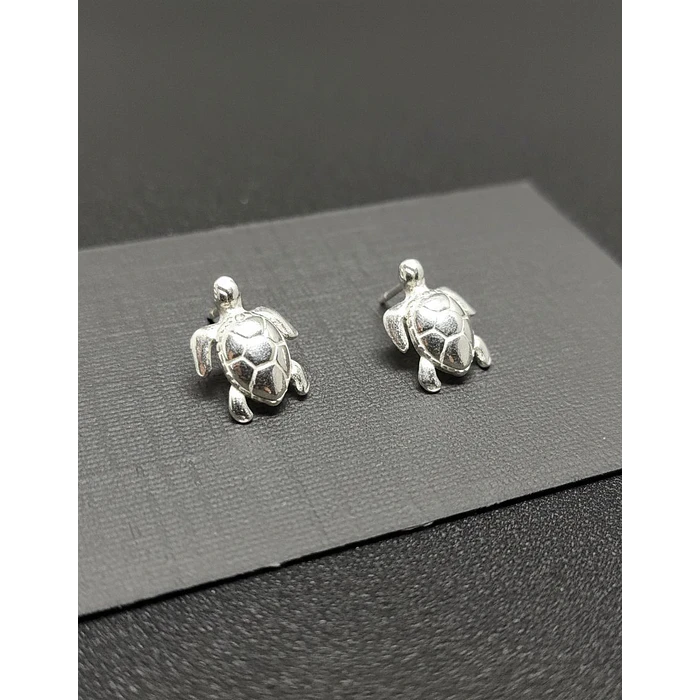 Aros de Boton de plata 1