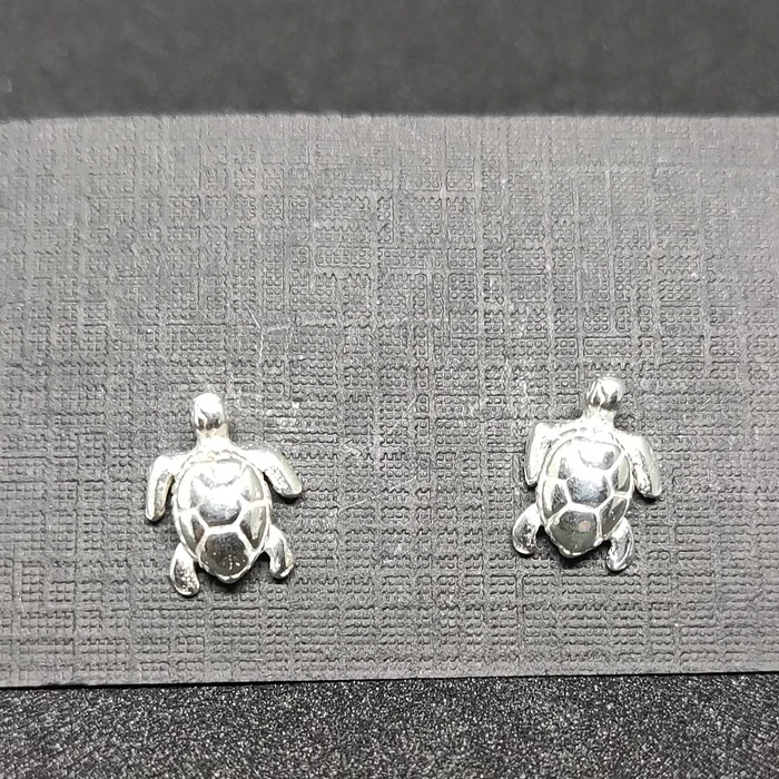 Aros de Boton de plata 2