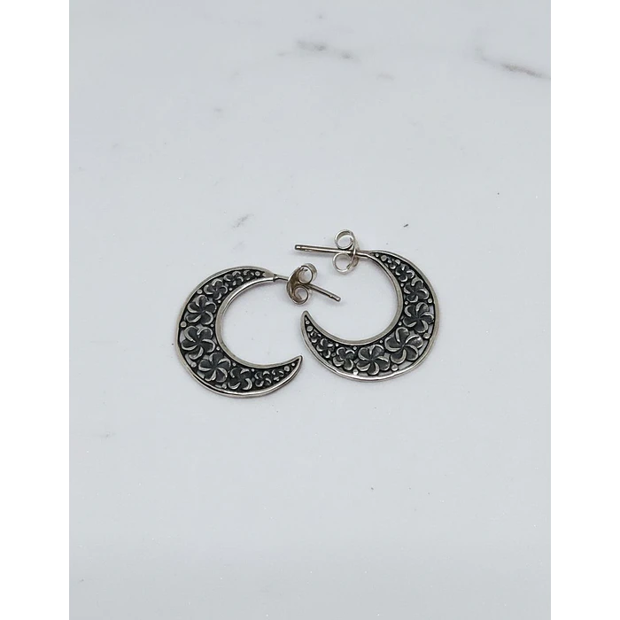 Aros colgantes de Plata 2