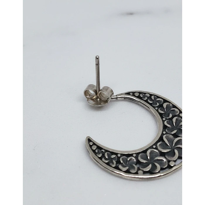Aros colgantes de Plata 3