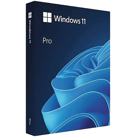Windows 11 Professional * 64 Bits * ESD *