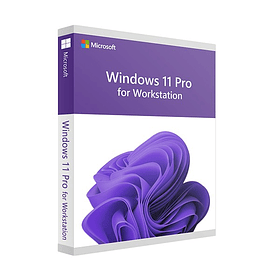 Windows 11 Pro for Workstations – 1PC