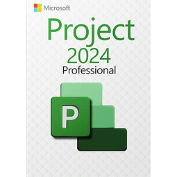 Microsoft Project 2024 Professional License – Einzelhandel – 1 Team