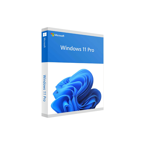 Windows 11 Professional * 64 Bits * ESD *