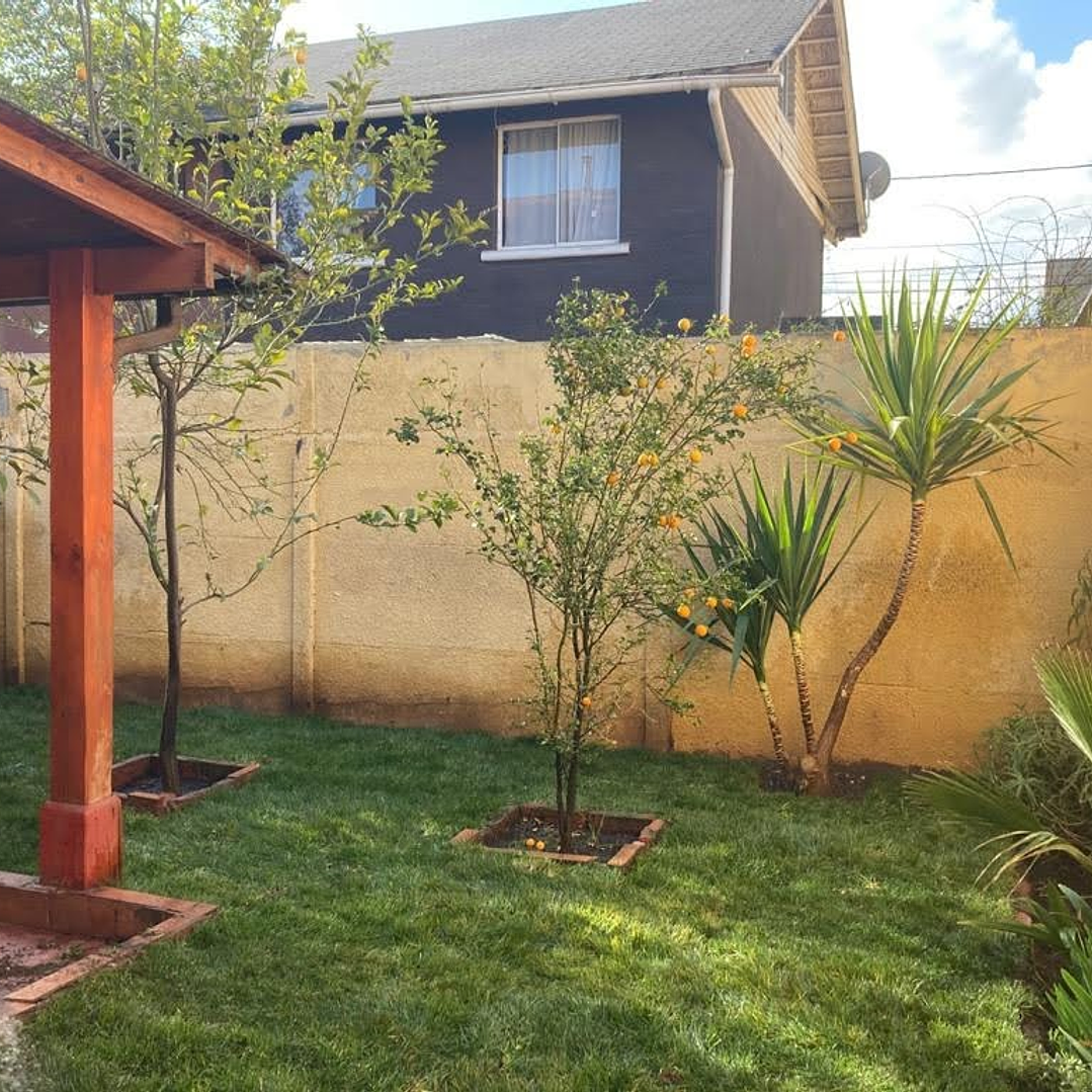 Pasto Natural por Rollo Jardin 2x0,50 metros 3