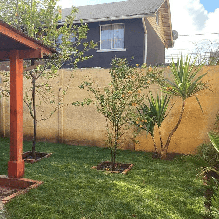 Pasto Natural por Rollo Jardin 2x0,50 metros 3