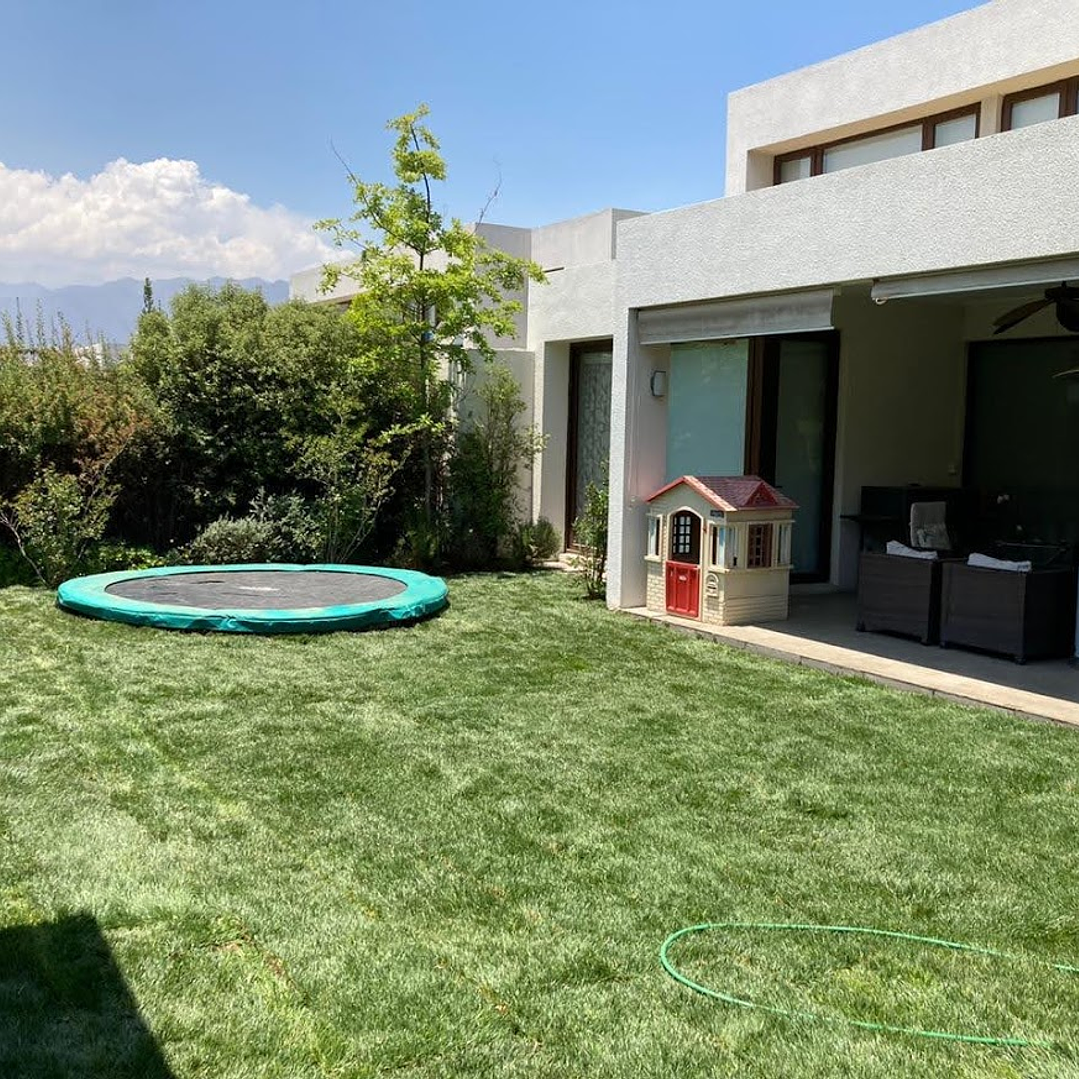 Pasto Natural por Rollo Jardin 2x0,50 metros 4