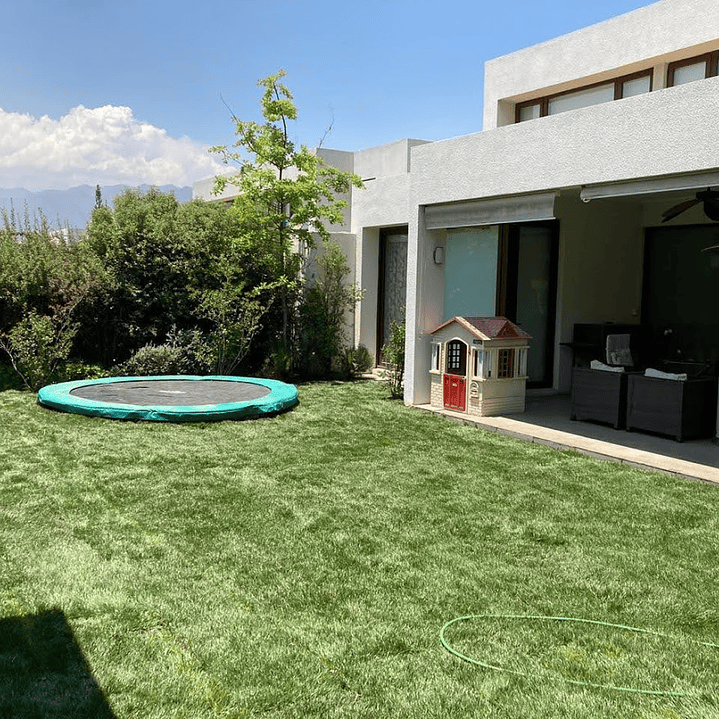 Pasto Natural por Rollo Jardin 2x0,50 metros 4