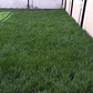 Pasto Natural por Rollo Jardin 2x0,50 metros - Miniatura 5