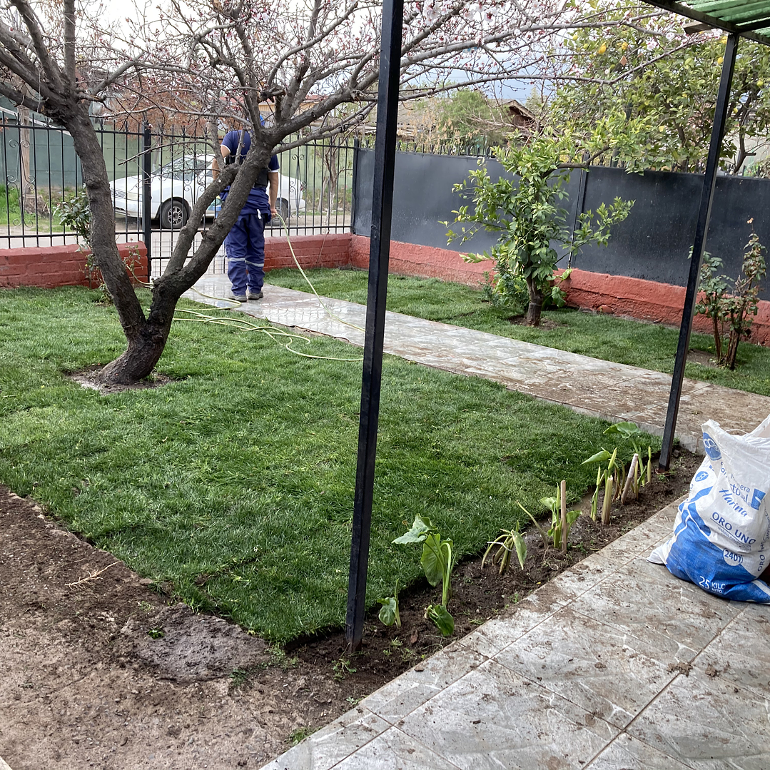 Pasto Natural por Rollo Jardin 2x0,50 metros 12