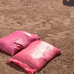 Compost Vegetal Orgánico