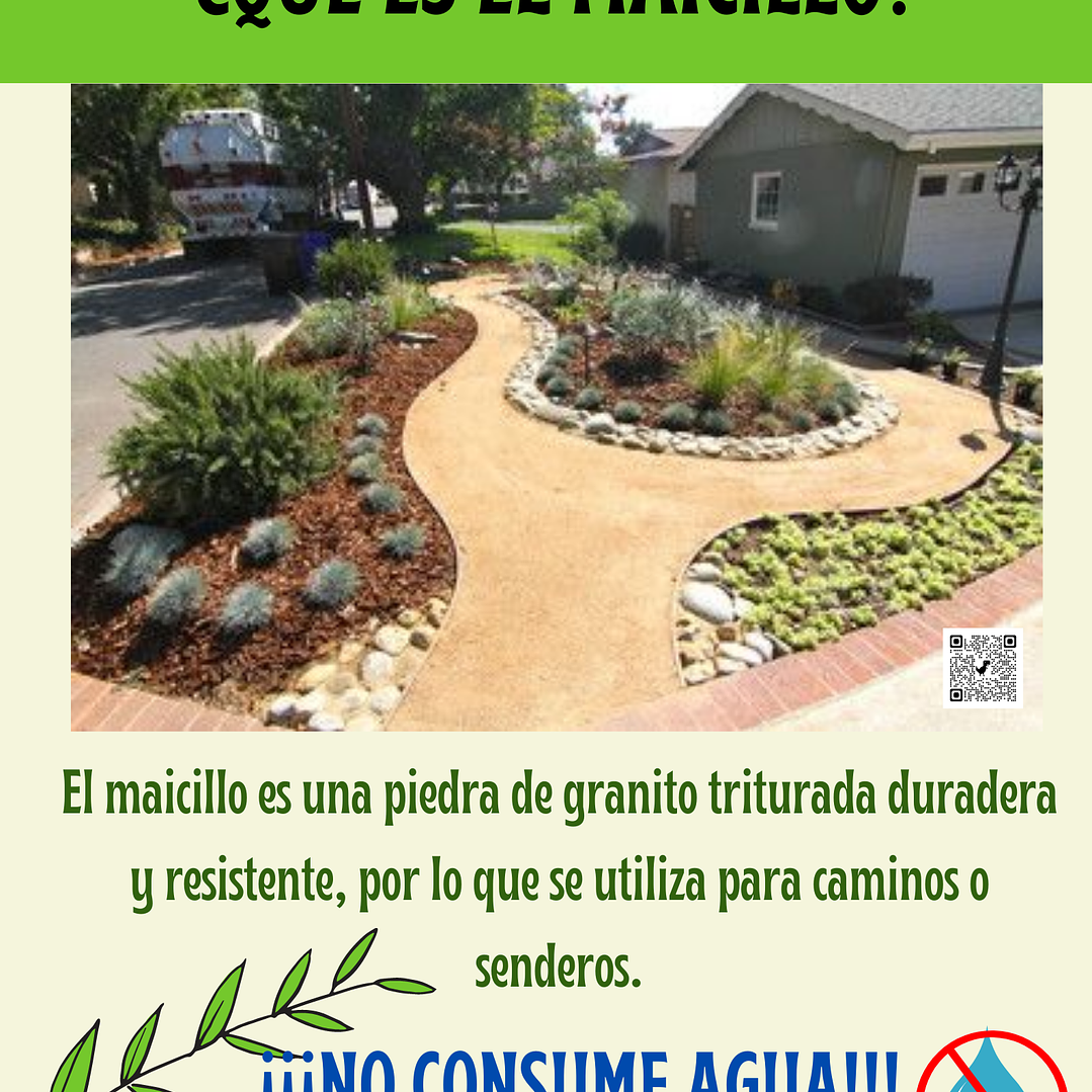 Maicillo Saco de 20 kilos 2