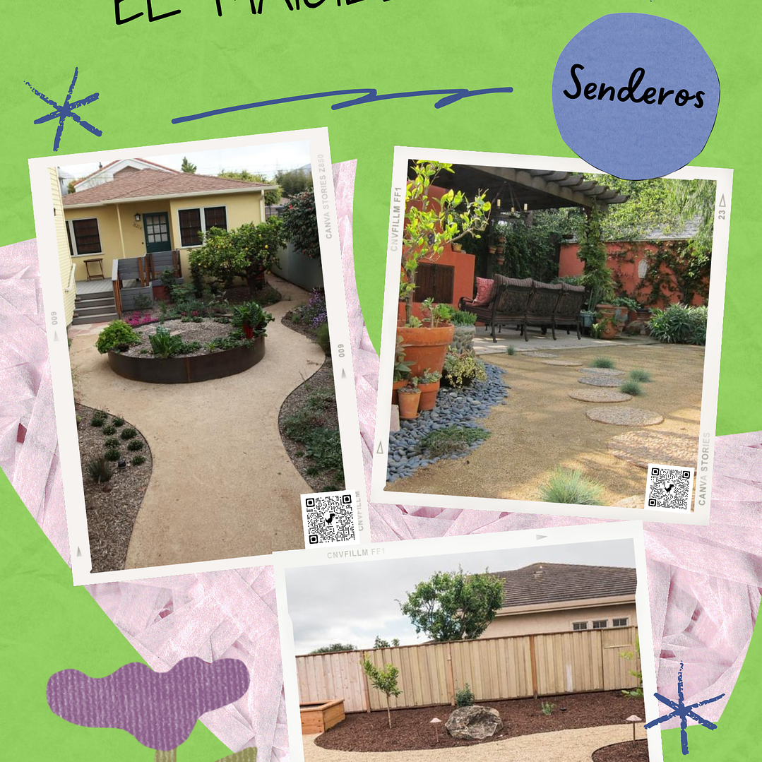 Maicillo Saco de 20 kilos 4