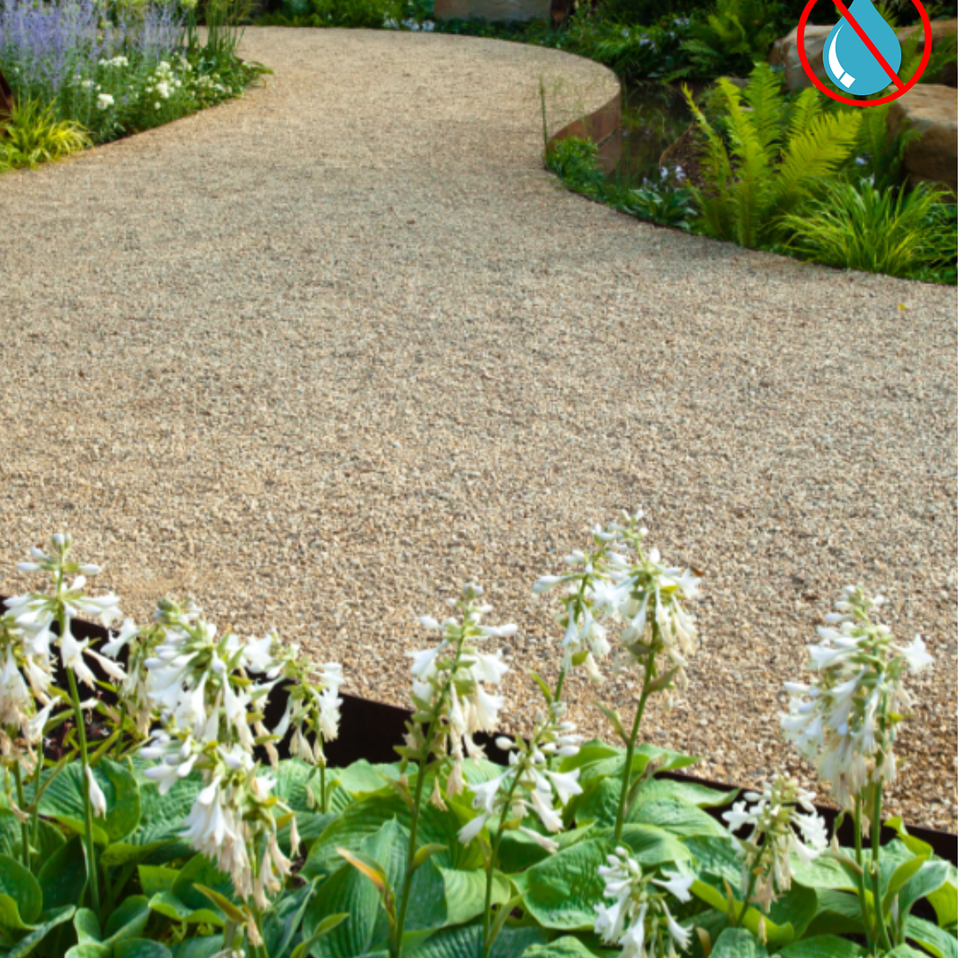 Maicillo Saco de 20 kilos 1