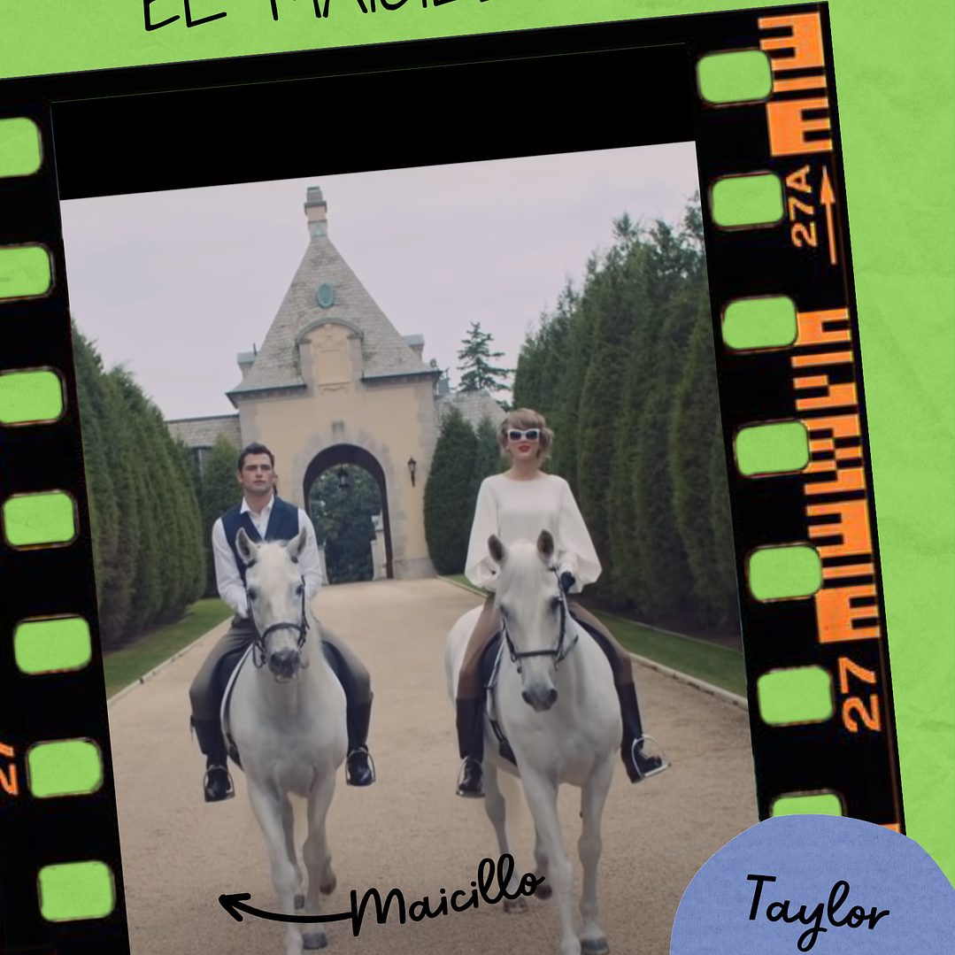 Maicillo Saco de 20 kilos 3