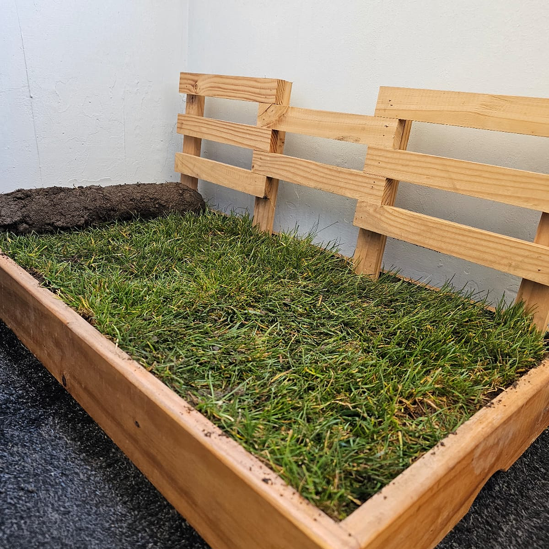 REPUESTO BAÑO SANITARIO NATURAL MASCOTA NOUGARDEN 1