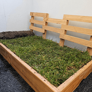 REPUESTO BAÑO SANITARIO NATURAL MASCOTA NOUGARDEN