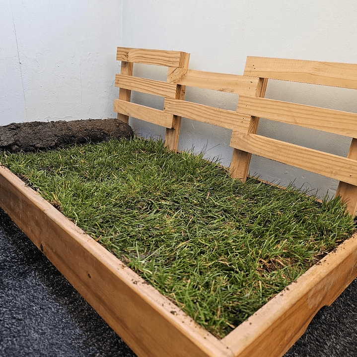 REPUESTO BAÑO SANITARIO NATURAL MASCOTA NOUGARDEN 1