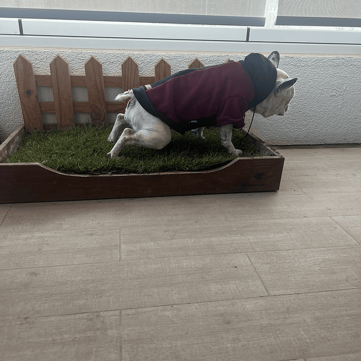 REPUESTO BAÑO SANITARIO NATURAL MASCOTA NOUGARDEN 2