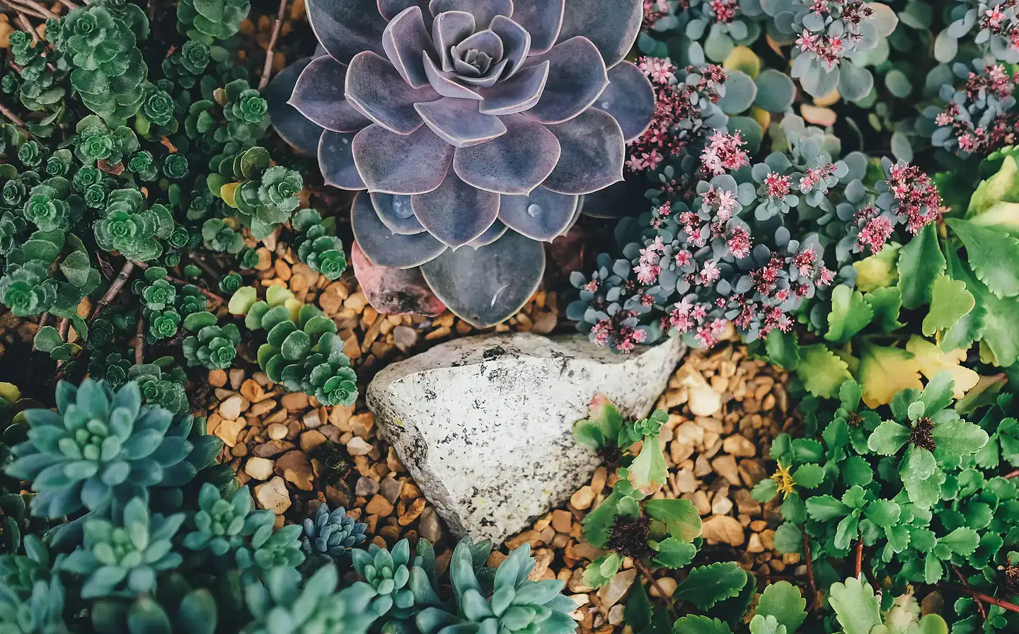 Color y protección para tus áreas verdes