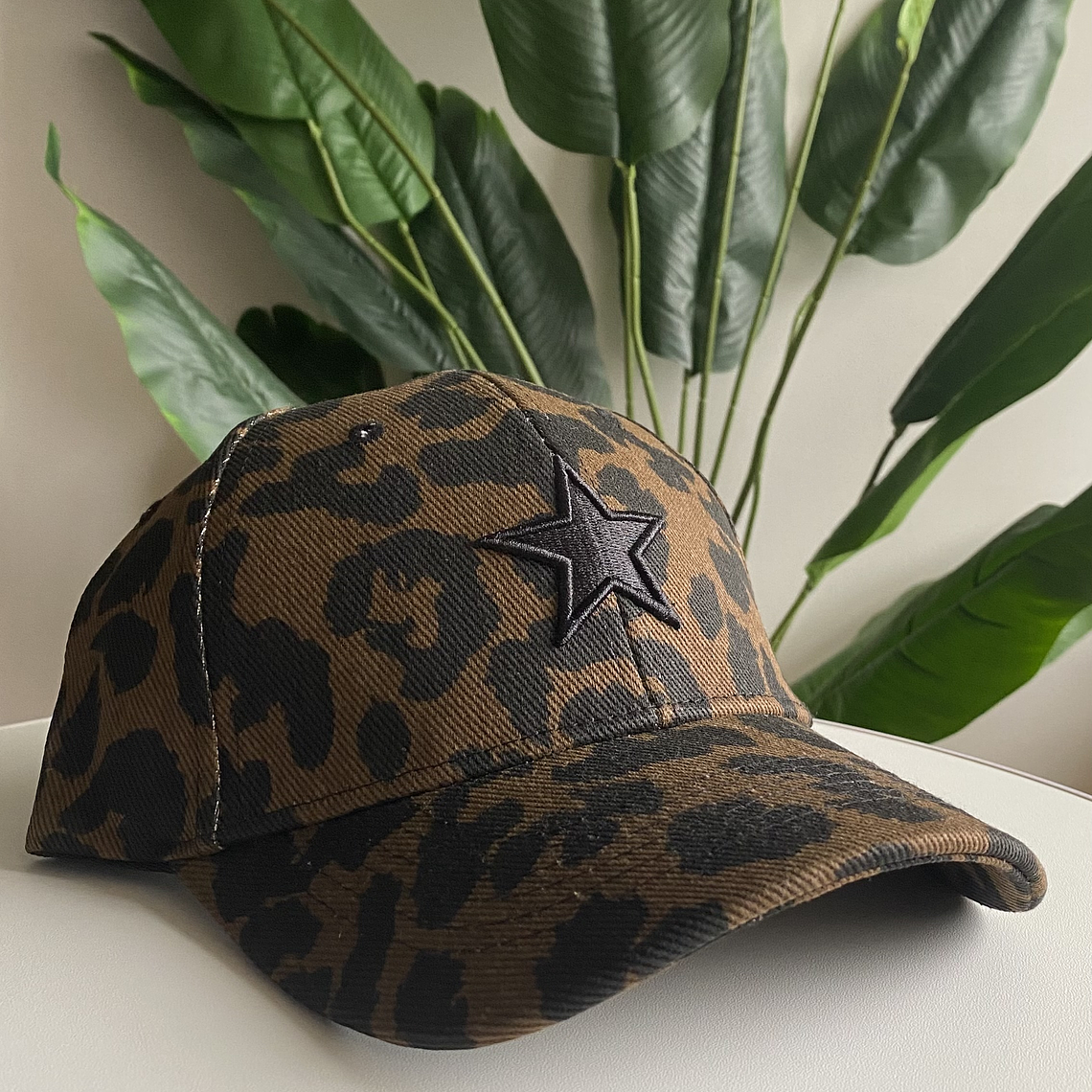Gorra Estrella Print Café 2