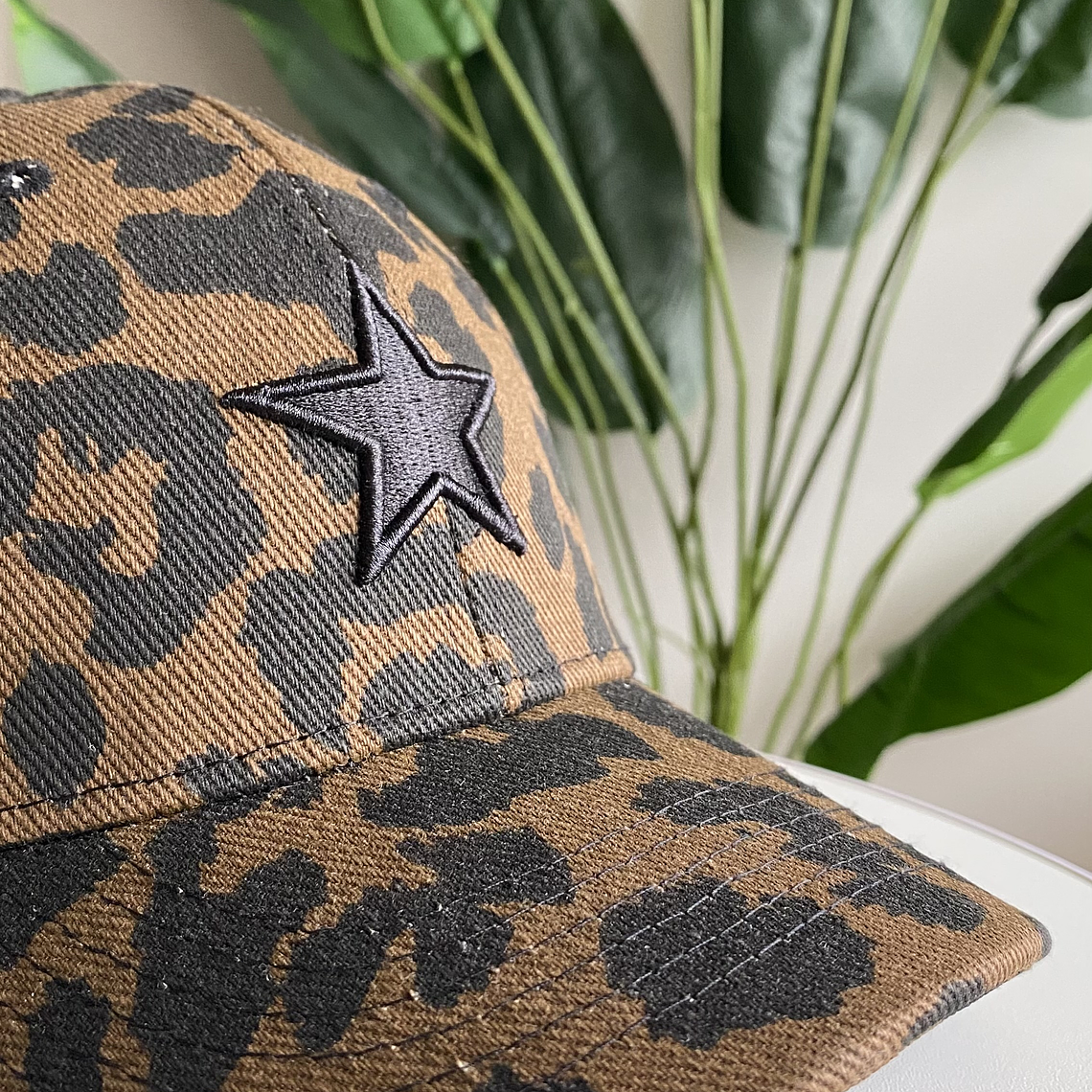 Gorra Estrella Print Café 3