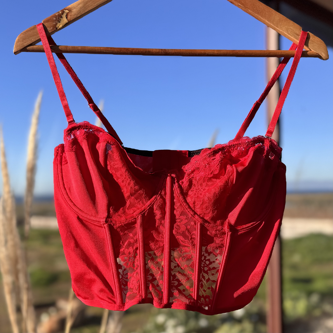 Bra encaje Rojo 1