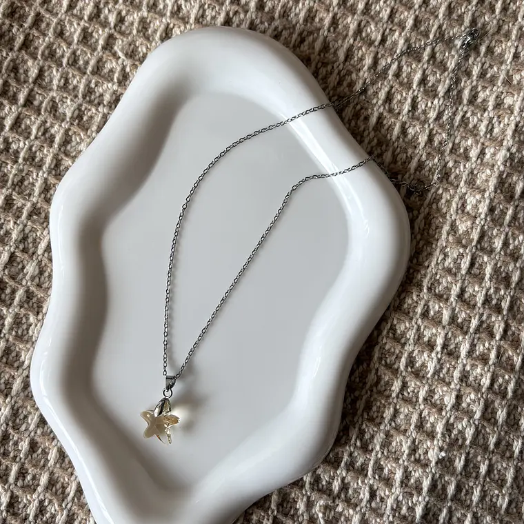 Collar estrella 4