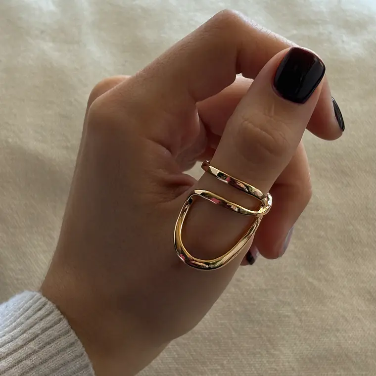 Anillo Foster 2
