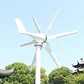 1000W Home Wind Power Turbine Generator 1KW 12V 24V 48V Small Horizontal Windmill Low Noise With MPPT Controller - thumbnail 4