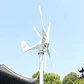 1000W Home Wind Power Turbine Generator 1KW 12V 24V 48V Small Horizontal Windmill Low Noise With MPPT Controller - thumbnail 14